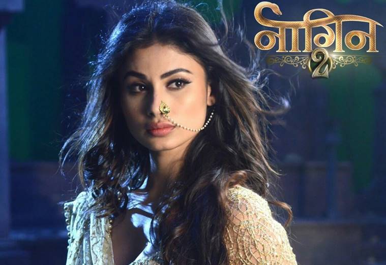 Rudra and Sesha challenge for love in Naagin 2