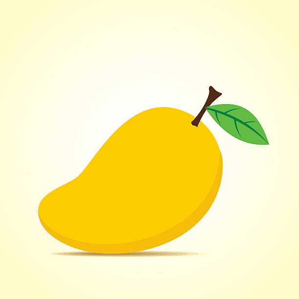 Fun facts about Mango – A fat-free fruit