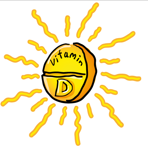 Fun Facts about Vitamin D