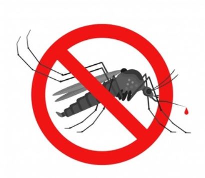 Prevent dengue with these simple tips