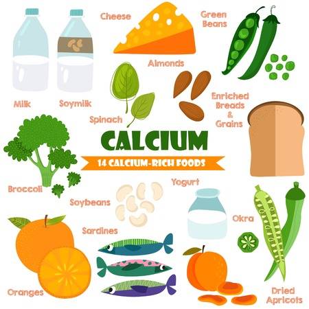 Calcium rich foods for your healthy bones