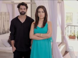 Tanhaiyan Episode 7 Haider turns lucky with Meera's love