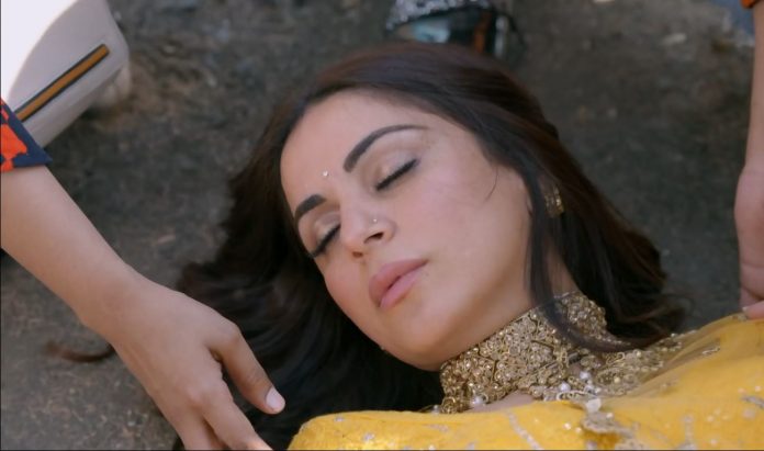 Kundali Bhagya 29th January 2021 Written Update Preeta Knocked