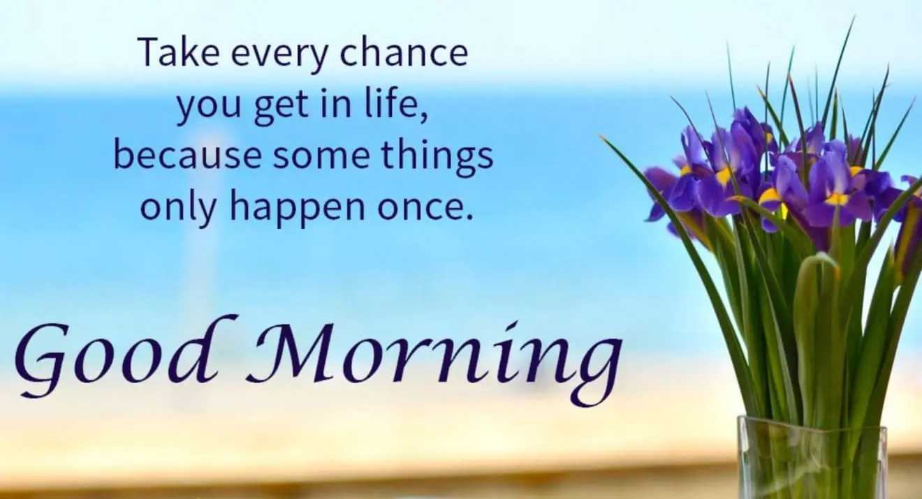 Top 15 Morning quotes to brighten your day