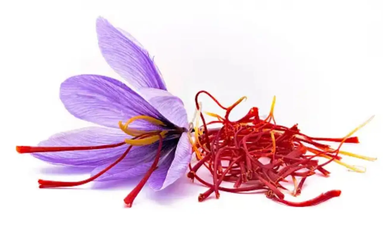 Saffron: Know its Magical hidden benefits